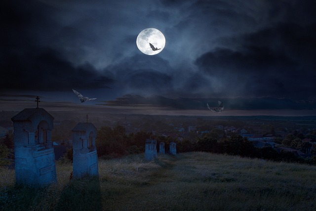 The Curse of the Metherok