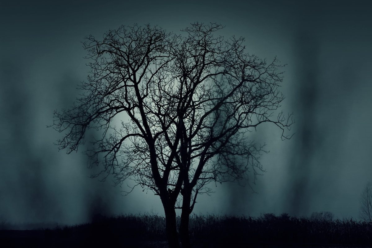 The Tale of Hallownest